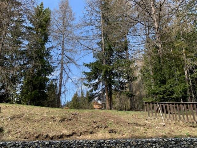Cozy Central Apartment At A Special Price! Crans-Montana Esterno foto